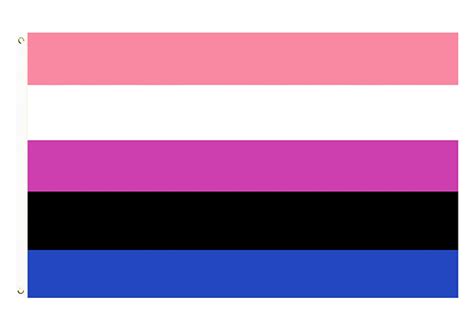 omnisexual flag|Omnisexual Meaning and Advocacy